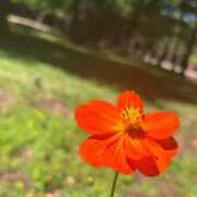 ヒメ日記 2025/08/25 09:18 投稿 有沢　クレア プルプル倶楽部 札幌すすきの店