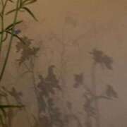 ヒメ日記 2025/10/15 20:15 投稿 有沢　クレア プルプル倶楽部 札幌すすきの店