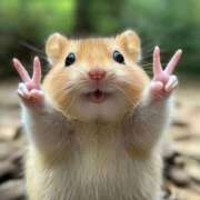 ヒメ日記 2025/12/10 00:18 投稿 柊　りか プルプル倶楽部 札幌すすきの店