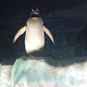 ヒメ日記 2025/02/25 14:00 投稿 そら 池袋風俗　池袋いきなりビンビン伝説