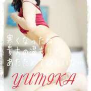 ヒメ日記 2025/11/22 20:20 投稿 ゆみか 奥様の実話 谷九店