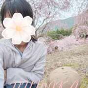 ヒメ日記 2026/04/07 22:38 投稿 ゆみか 奥様の実話 谷九店