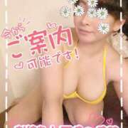 ヒメ日記 2025/03/26 17:02 投稿 はるな ～優しい若妻倶楽部～Mrs.女神