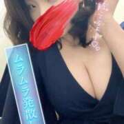 ヒメ日記 2026/03/31 17:23 投稿 はるな ～優しい若妻倶楽部～Mrs.女神