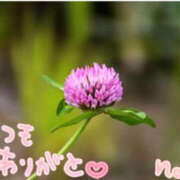 ヒメ日記 2025/05/24 22:00 投稿 のの eroina