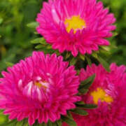 ヒメ日記 2025/06/09 23:46 投稿 のの eroina