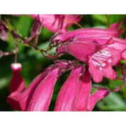 ヒメ日記 2025/06/18 18:29 投稿 のの eroina