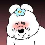 ヒメ日記 2025/11/08 21:13 投稿 ミク AMOUR（アムール）