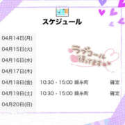 ヒメ日記 2025/04/14 21:00 投稿 はるの 世界のあんぷり亭 新宿総本店