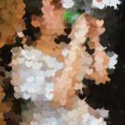 ヒメ日記 2025/05/08 11:37 投稿 中村みづき 西川口風俗ド淫乱ンド