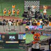 ヒメ日記 2025/04/24 21:34 投稿 浅倉 葵 夜這い茶屋 はなれ