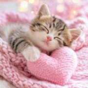 ヒメ日記 2026/02/04 09:38 投稿 つぐみ 夜這い茶屋 はなれ