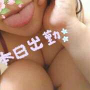 ヒメ日記 2025/04/15 12:15 投稿 あすか 夜這い茶屋 はなれ