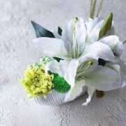 ヒメ日記 2024/12/27 21:29 投稿 みなみ 夜這い茶屋 はなれ