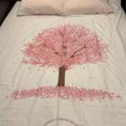 ヒメ日記 2025/04/08 09:54 投稿 みなみ 夜這い茶屋 はなれ