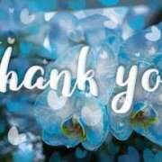 ヒメ日記 2026/01/12 22:41 投稿 みなみ 夜這い茶屋 はなれ