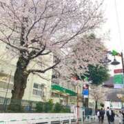 ヒメ日記 2025/04/05 15:23 投稿 小川レミ ミスターダンディー