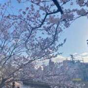 ヒメ日記 2025/04/07 19:32 投稿 小川レミ ミスターダンディー