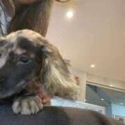 ヒメ日記 2025/07/07 09:23 投稿 小川レミ ミスターダンディー