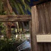 ヒメ日記 2025/09/12 18:07 投稿 小川レミ ミスターダンディー