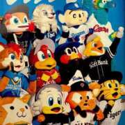 ヒメ日記 2025/09/30 01:03 投稿 小川レミ ミスターダンディー