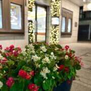 ヒメ日記 2025/11/25 23:45 投稿 小川レミ ミスターダンディー