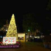 ヒメ日記 2025/12/06 00:23 投稿 小川レミ ミスターダンディー