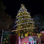 ヒメ日記 2025/12/14 18:53 投稿 小川レミ ミスターダンディー