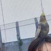 ヒメ日記 2025/12/30 00:33 投稿 小川レミ ミスターダンディー