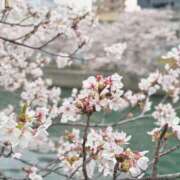 小川レミ 早朝出勤とプライベート🍽️ ミスターダンディー