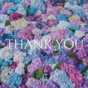 ヒメ日記 2025/09/26 03:55 投稿 渋谷　りさ アロマキュアシス