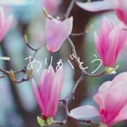 ヒメ日記 2025/12/01 01:39 投稿 渋谷　りさ アロマキュアシス