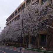 ヒメ日記 2024/04/08 05:47 投稿 けいな 新宿・新大久保おかあさん