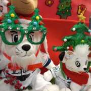 ヒメ日記 2024/12/21 19:05 投稿 けいな 新宿・新大久保おかあさん