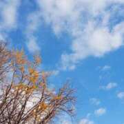 ヒメ日記 2024/12/30 08:55 投稿 けいな 新宿・新大久保おかあさん