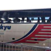 ヒメ日記 2025/01/29 09:58 投稿 けいな 新宿・新大久保おかあさん