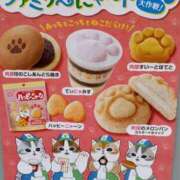 ヒメ日記 2025/02/22 09:47 投稿 けいな 新宿・新大久保おかあさん