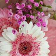 ヒメ日記 2025/04/01 08:35 投稿 けいな 新宿・新大久保おかあさん