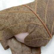 ヒメ日記 2025/04/20 14:31 投稿 けいな 新宿・新大久保おかあさん