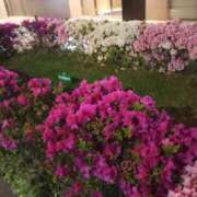 ヒメ日記 2025/04/30 00:15 投稿 けいな 新宿・新大久保おかあさん