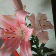 ヒメ日記 2025/06/22 13:50 投稿 けいな 新宿・新大久保おかあさん