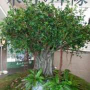 ヒメ日記 2025/07/30 17:30 投稿 けいな 新宿・新大久保おかあさん