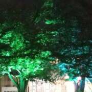 ヒメ日記 2025/07/31 21:28 投稿 けいな 新宿・新大久保おかあさん