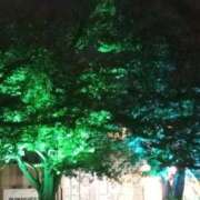 ヒメ日記 2025/07/31 21:40 投稿 けいな 新宿・新大久保おかあさん