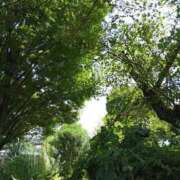 ヒメ日記 2025/08/29 13:20 投稿 けいな 新宿・新大久保おかあさん