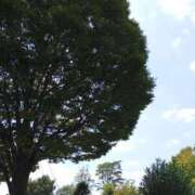 ヒメ日記 2025/08/30 15:14 投稿 けいな 新宿・新大久保おかあさん