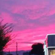 ヒメ日記 2025/09/03 18:35 投稿 けいな 新宿・新大久保おかあさん