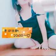 ヒメ日記 2025/02/06 14:18 投稿 ようこ 静岡駅前ちゃんこ