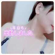 ヒメ日記 2025/02/06 20:08 投稿 ようこ 静岡駅前ちゃんこ