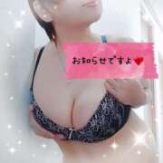 ヒメ日記 2025/02/08 14:48 投稿 ようこ 静岡駅前ちゃんこ